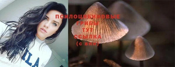 бошки Бородино