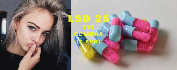 бошки Бородино
