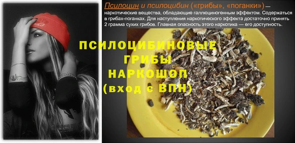 spice Богородск