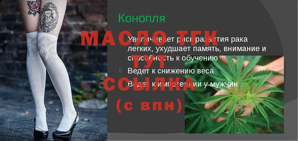 spice Богородск